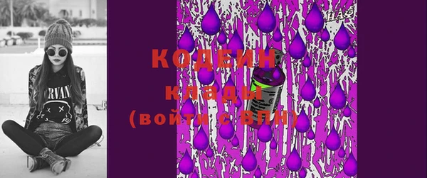 крисы Сатка