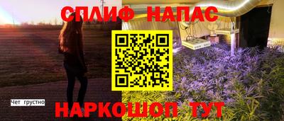 бошки Гатчина