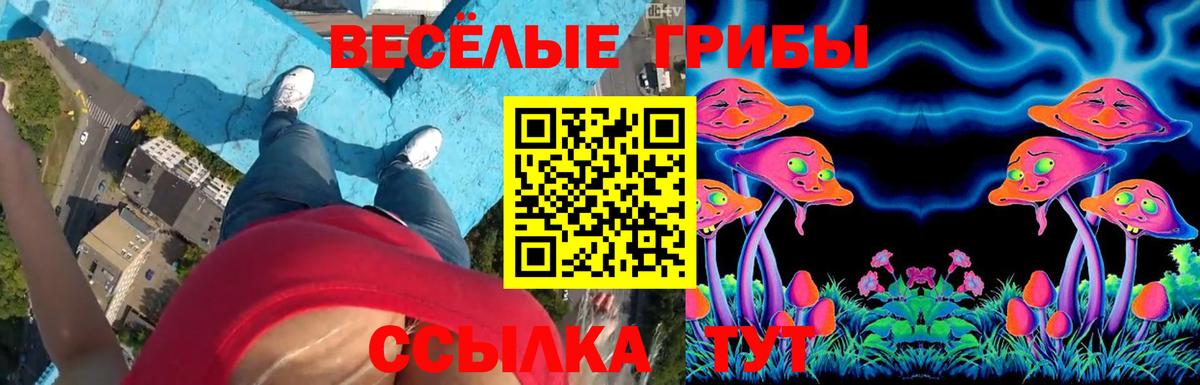 Ленинск-Кузнецкий  Псилоцибиновые грибы Psilocybe  Псилоцибиновые грибы прущие грибы  закладки  Вход с VPN 